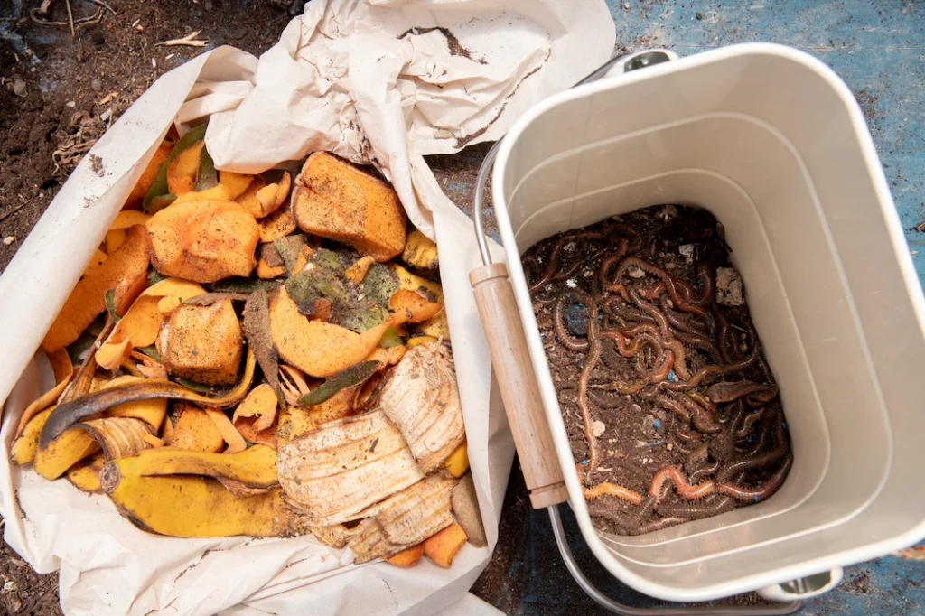 compost bin